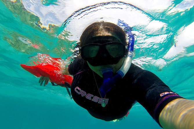 Marietas Islands Snorkeling & Hidden Beach (W/ Restrictions) - Cancellation Policy