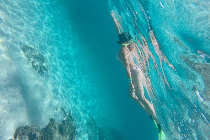 Marietas Islands Snorkeling Tour - Inclusions
