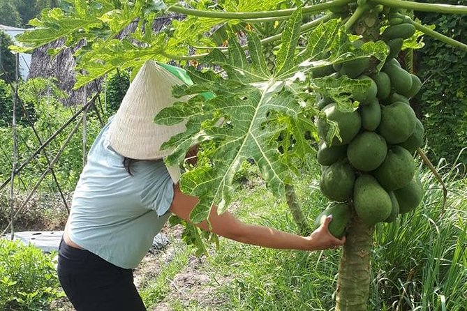 Market to Farm to Table Cooking Class in Saigon - Explore the Vibrant Wet Market