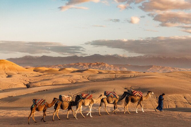 Marrakech 3-Hour ATV Tour in Desert and Palmeraie - Customer Reviews