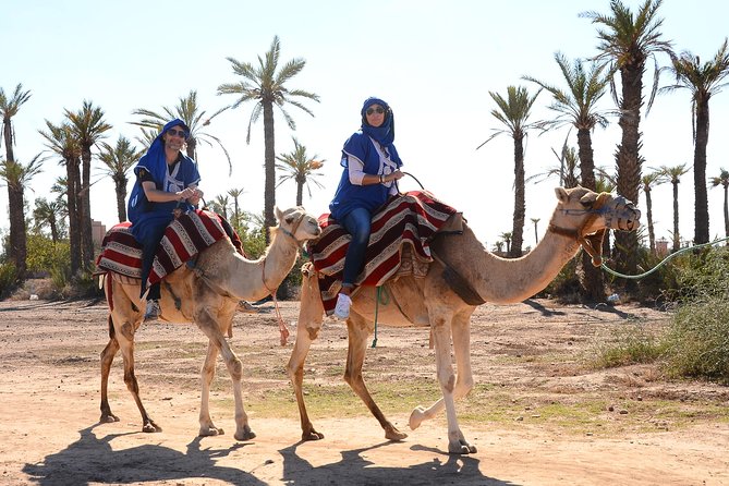 Marrakech Desert Camel Ride - Round-Trip Transfers