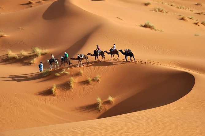 Marrakech- Route of the Kasbahs- Merzouga Desert 6 Nights / 7 Days - Inclusions