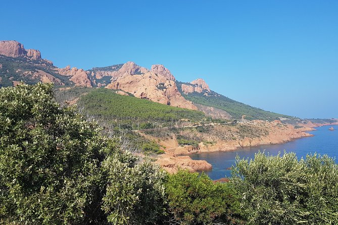 MARSEILLE Shore Excursion Full Day Private Tour: Taste of Provence - Itinerary Overview