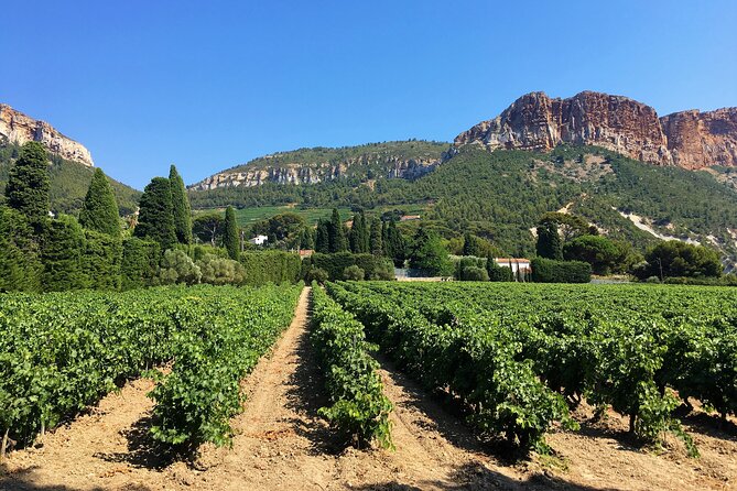 Marseille Shore Excursion - Full Day Wine Tour in Provence - Cancellation Policy
