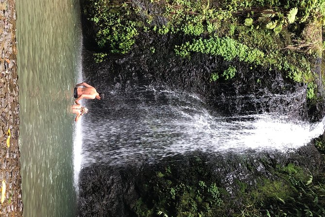 Martinique Shore Excursion - Unmissable Martinique North Tour - Common Questions