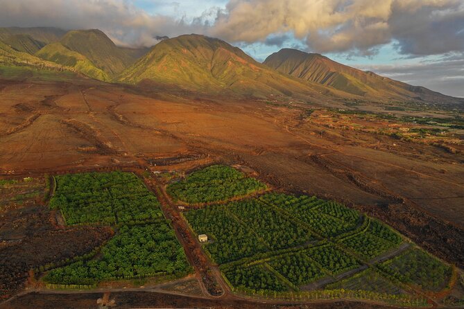 Maui Chocolate-Tasting Experience - Sample Menu
