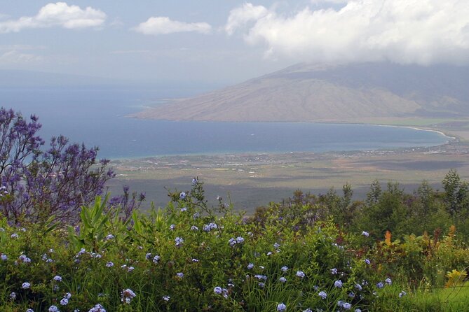 Maui Farm Distillery and Local Craft Experience Full-Day Tour - Meeting and Pickup Information