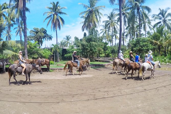 Mazatlan Sightseeing and Beach All Inclusive - Tour Highlights