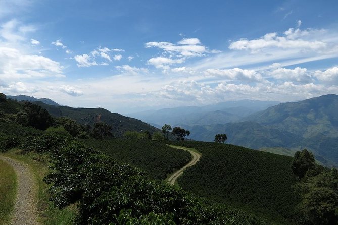 Medellín Coffee Tour to Concordia - Additional Information