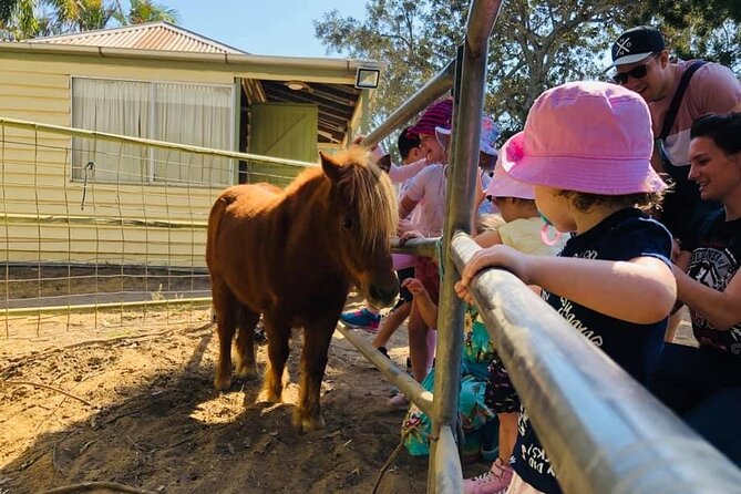 Meet the Animals: Small-Group Farm Tour, Brisbane - Family-Friendly Adventure