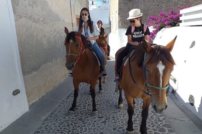 Megalochori Horseback Excursion  - Santorini - Product Code, Pricing, Copyright, and Terms & Conditions