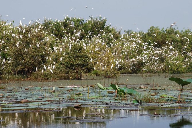 Mekong Delta Tours 3days - CaiBe Vinh Long ChauDoc CanTho - Pickup and Drop-off Information