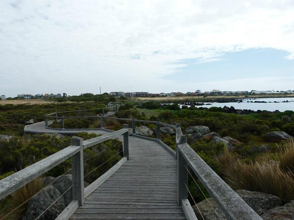 Melbourne City and Williamstown Ferry Cruise - Overview and Inclusions