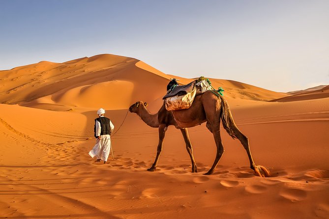 Merzouga Camel Trekking & Overnight Desert Camp - Tour Overview