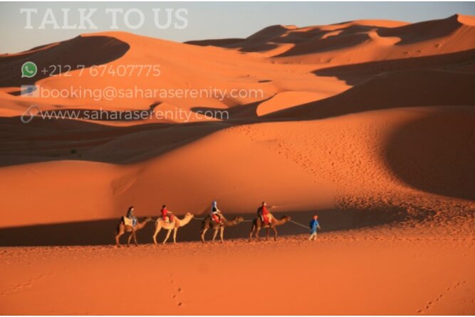 Merzouga Desert Camp - Activities and Excursions