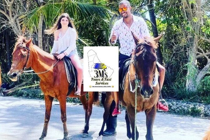 Mini-Day Barbados Private Guided Customized Island Tours - Inclusions