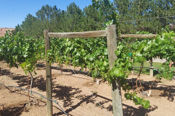 Moab Back Roads, History and Winery E-Bike Tour - E-Bike Tour Details