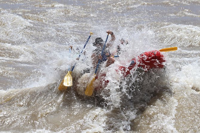Moab Half-Day Rafting Trip - Positive Feedback and Reviews