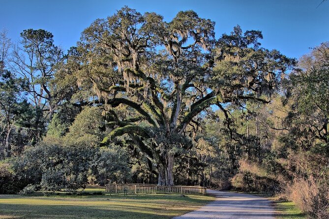 Mobile Area Multi-Attraction Pass