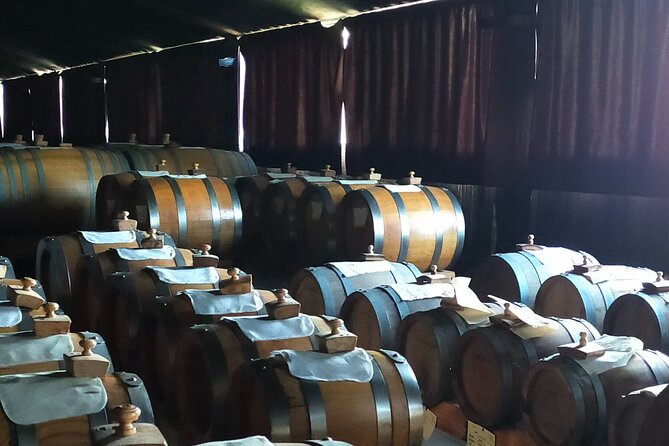 Modena: Food Tour With WIne, Balsamic Vinegar, and Cheese  - Bologna - Exploring the World of Balsamic Vinegar
