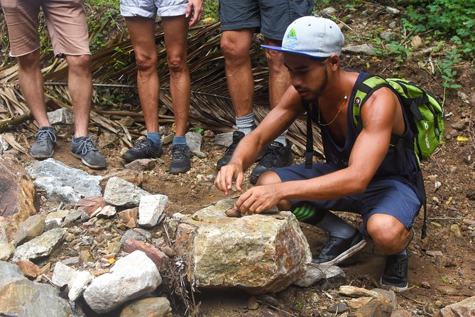 Monkey Mountain Jungle Hike Adventure - Traveler Reviews and Ratings