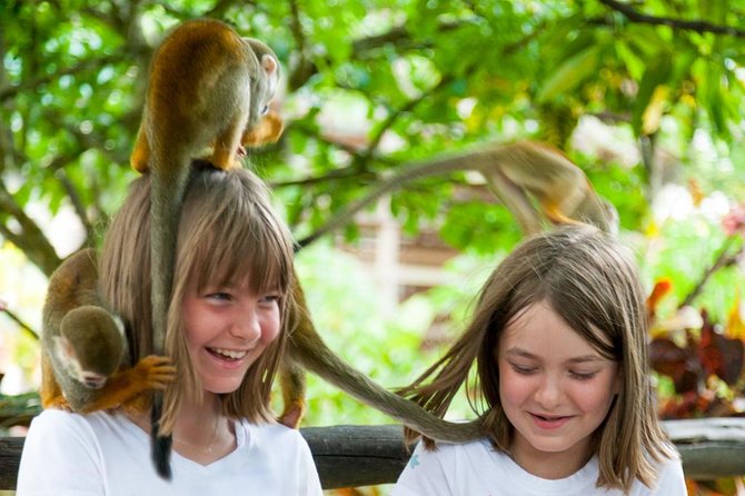 Monkeyland and Plantation Safari Tour From Punta Cana - Tour Guides and Monkey Interaction