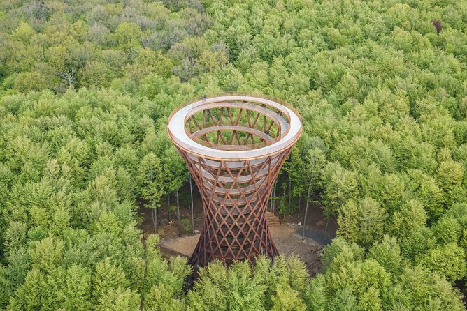 Mønsklint, Forest Tower and Forgotten Giants -Private Tour - Discover the Forest Tower
