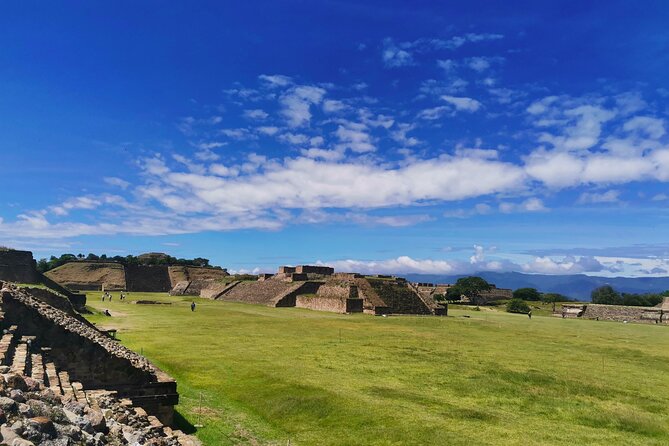 Monte Alban - Full Day Guided Tour With or Without Food - Oaxaca - Pricing and Booking Options