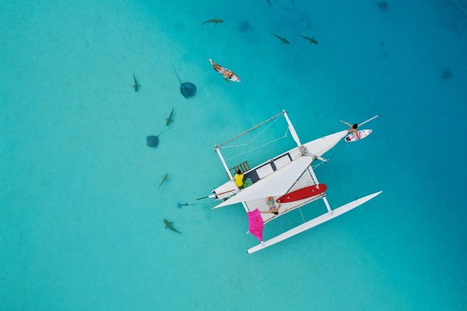 Moorea Discovery Half-day Sailing - Traveler Photos and Reviews