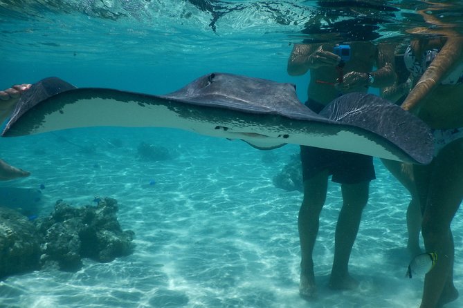 Moorea Full-Day Jet Ski and All-Terrain Vehicle Adventure Combo Tour - Jet Ski Tour Highlights