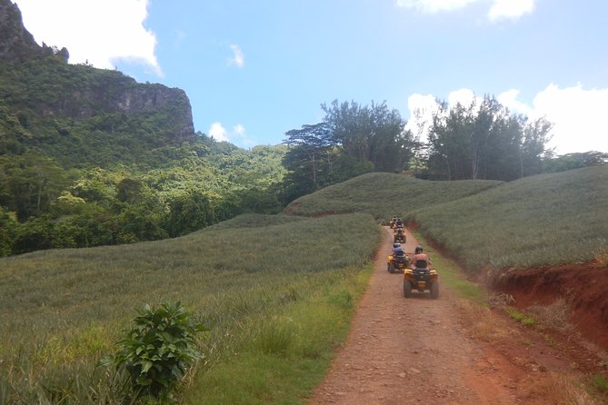 Moorea Half-Day Jet Ski and ATV Mini Combo Package - Pickup Details and Cancellation Policy