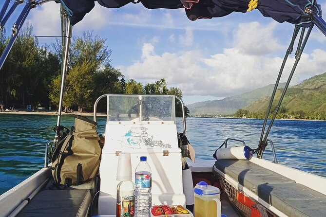 Moorea Half Day Private Tour With Snorkeling and Cruising the Lagoon - Swimming With Turtles