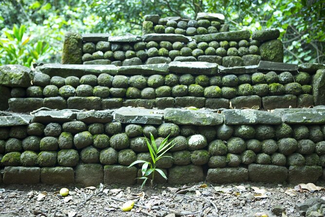Moorea Highlights Private Tour: Natural and Cultural Attraction - Local Cuisine