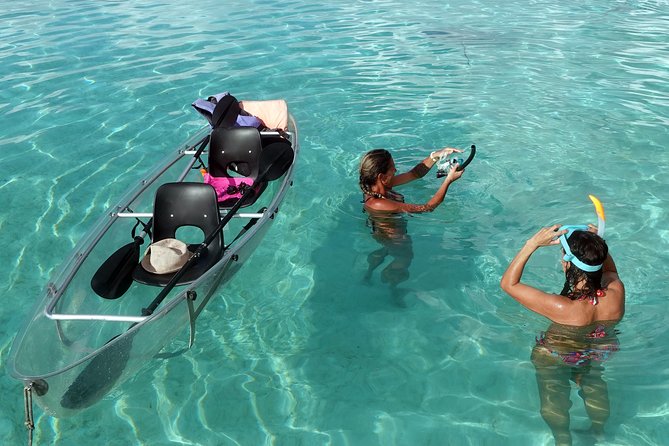 Moorea Lagoon Tour by Transparent Kayak - Tour Overview