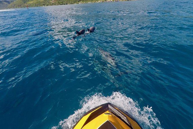 Moorea Solo or Twin 3 Hours Jet Ski Tour - Tour Overview