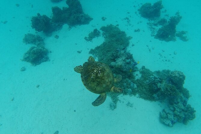 Moorea Solo or Twin Island Tour Jet Ski - Additional Guidelines and Restrictions