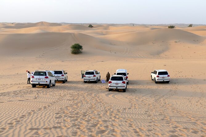 Morning Desert Safari With Quad Bike Tours - Good To Know