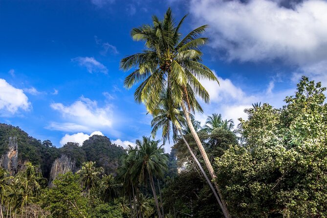 Morning Hike and Sunrise in Krabi With Your English-Speaking Guide - Experience the Tranquility of a Morning Hike