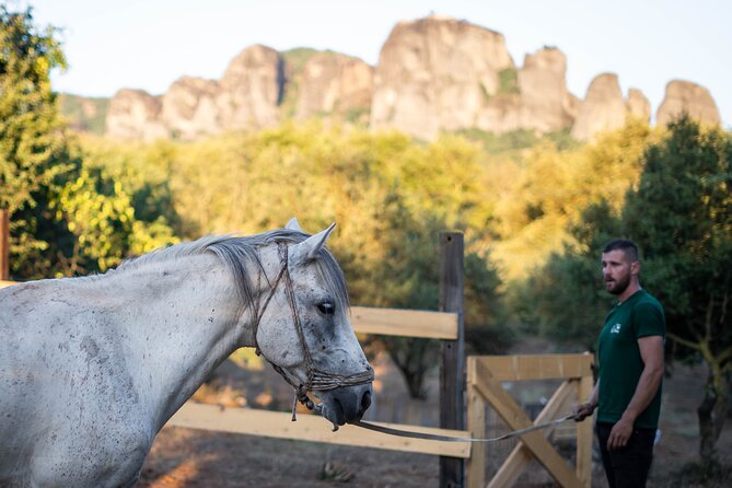 Morning Horseback Tour in Meteora With Monastery Ypapanti - Price and Inclusions