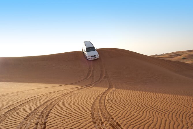 Morning Safari in Abu Dhabi - Activities Included in the Safari