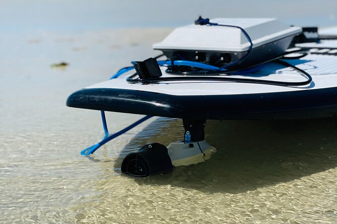 Motorized Hybrid Kayak Tour at Shell Key Preserve - Inclusions and Equipment