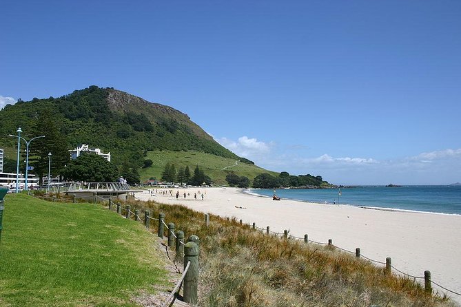 Mount Maunganui Self-Guided Audio Tour - Recommendations