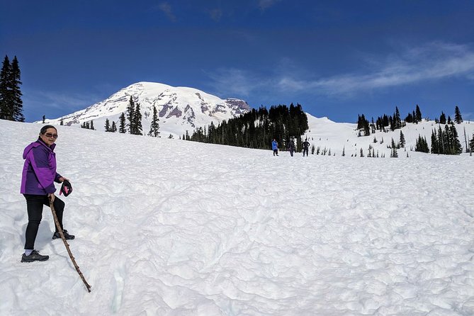 Mount Rainier National Park - Private Luxury Day Tour With Lunch - Pick-Up and Drop-Off Services