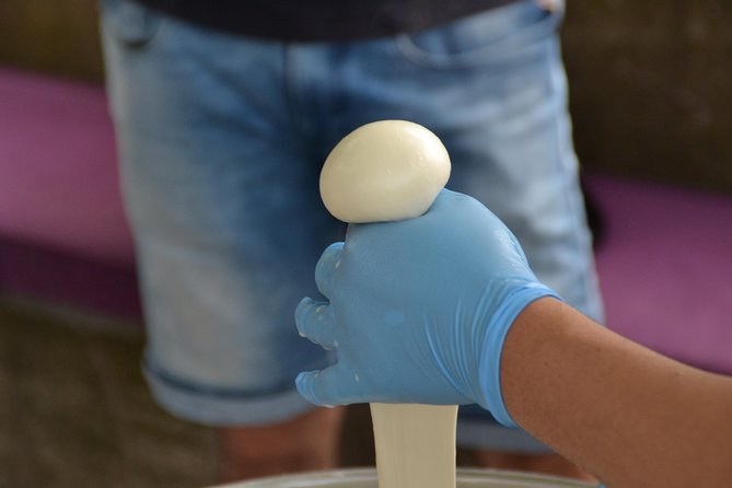 Mozzarella Class or Pizza Class - Mozzarella Class: Pricing and Booking Details