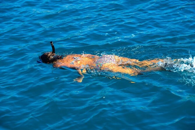 Mu Ko Ang Thong National Park Speedboat Tour From Bophut - Cancellation Policy