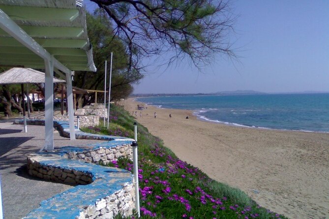 Multi Activity in Katakolon Cruise Port With Cultural Exchange - Local Cultural Performances