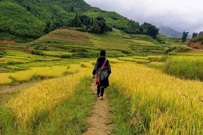 Muong Hoa Valley and Sapa Small-Group Trek: 1, 2, or 3 Day - The Sum Up