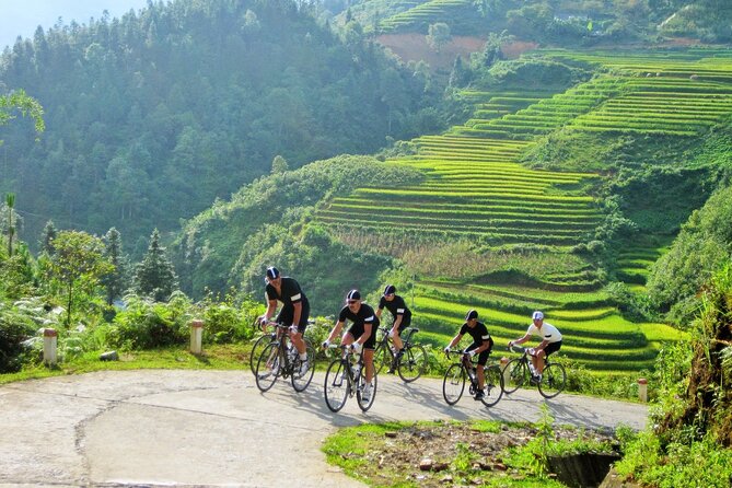 Muong Hoa Valley by Bike Half Day Tour - Bike Route