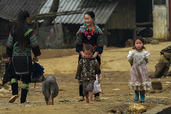 Muong Hoa Valley Trek & Homestay Experience - 4D3N - Homestay Experience