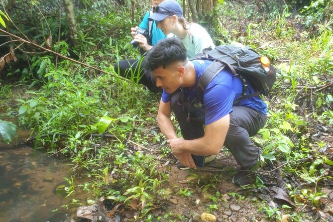 My Son Sanctuary and Mountain Trekking - Trekking Route